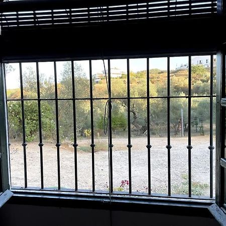 Villa Maria, Casa Rural En Cazalla De La Sierra. Екстериор снимка